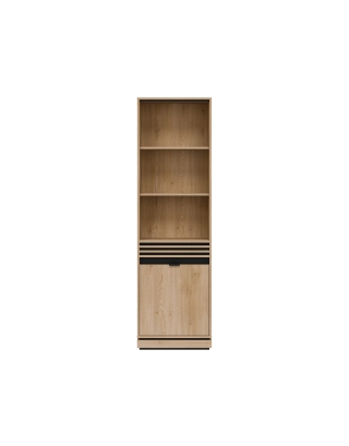 Regal Ferro FE06