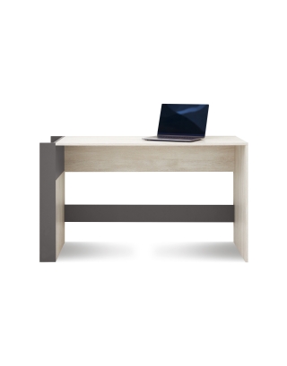Schreibtisch REMO RM10